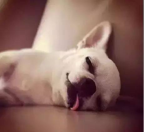 深圳激光打標(biāo)機(jī)民升激光開工了