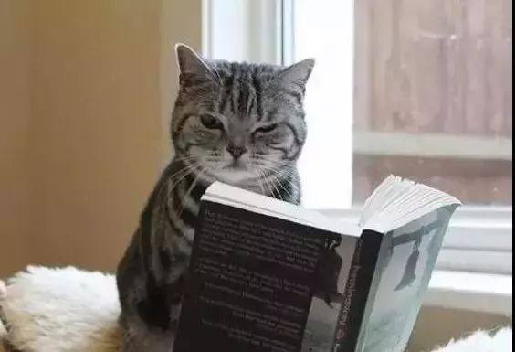 深圳激光打標(biāo)機(jī)民升激光開工了